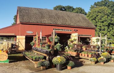 Foster Hill Farm