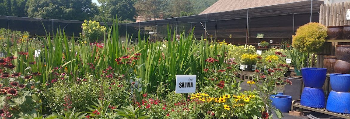 Paley’s Farm Market