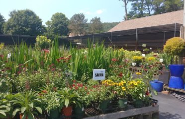 Paley’s Farm Market