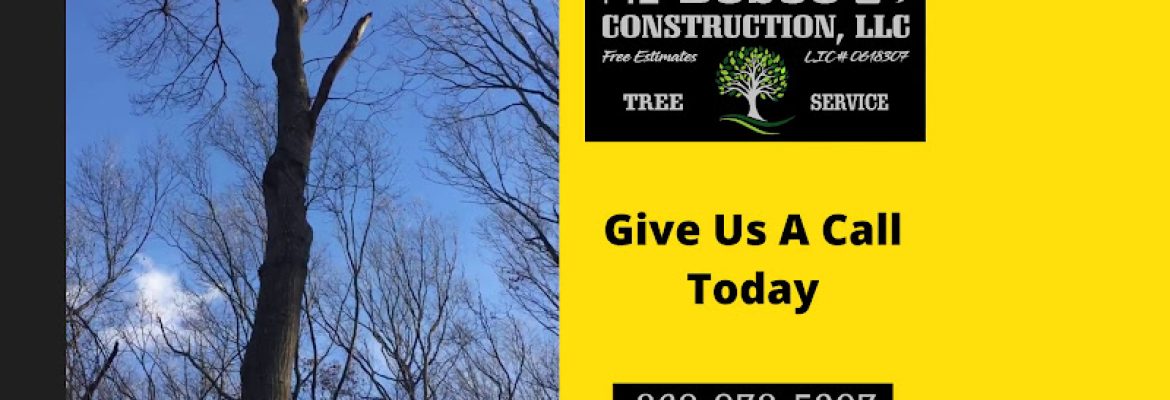 Bosco Construction LLC