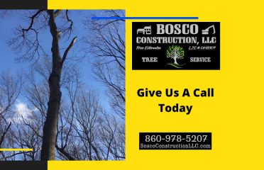 Bosco Construction LLC