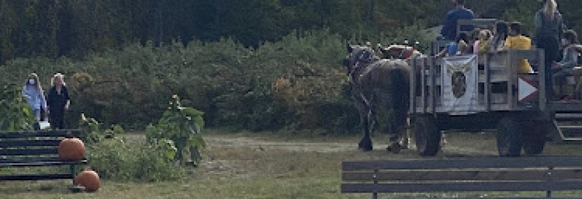 Scott’s Yankee Farmer