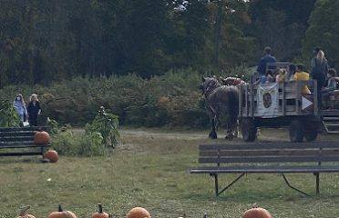 Scott’s Yankee Farmer