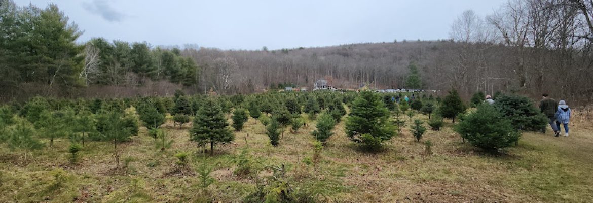 Bakerville Tree Farm