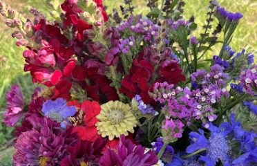 Sharing Joy Flower Farm