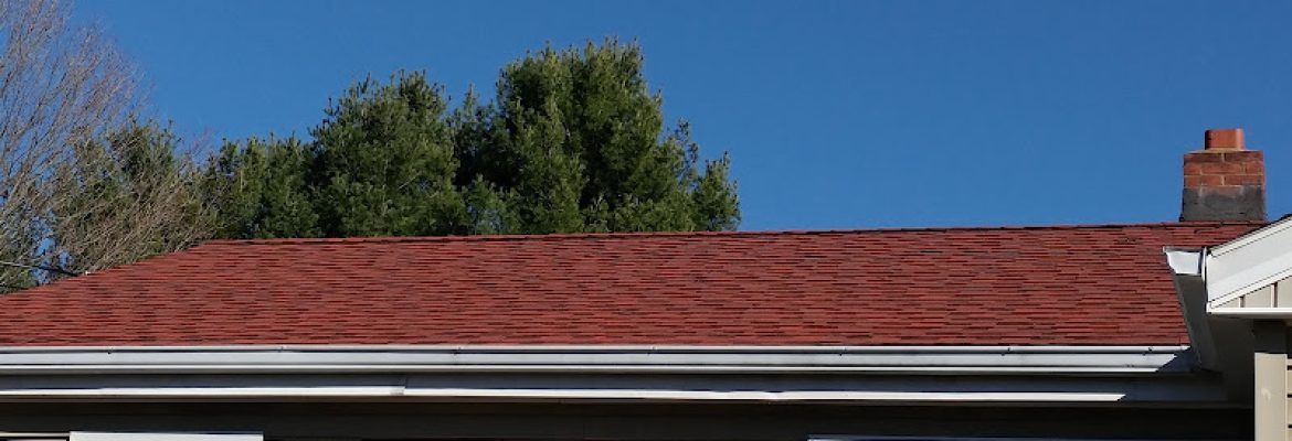 Dynamic Cleans LLC
