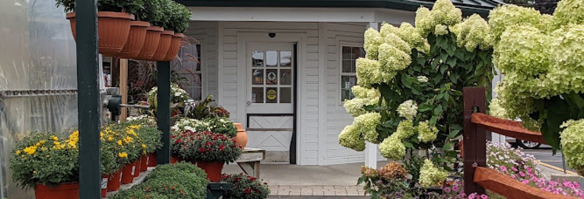 Van Wilgen’s Garden Mart