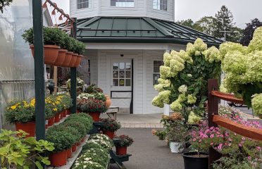 Van Wilgen’s Garden Mart