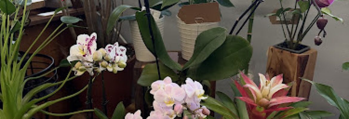 The Plant Kiosk