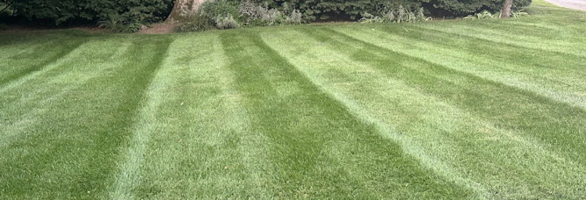 Sunset Ridge Landscaping, Inc.