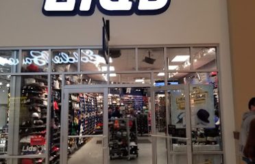 Lids