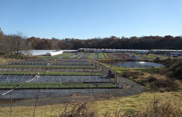 Casertano’s Greenhouse & Farms