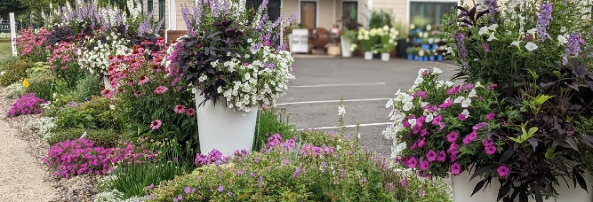 Nielsen’s Florist & Garden Shop