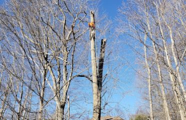 Bear Rock Landscaping llc