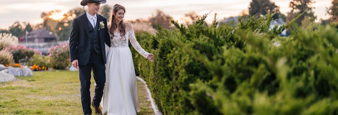 Wedding Photography by George