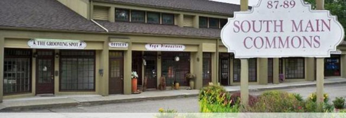 Preferred Insurance Services, LLC