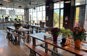 WeHa Brewing & Roasting Company