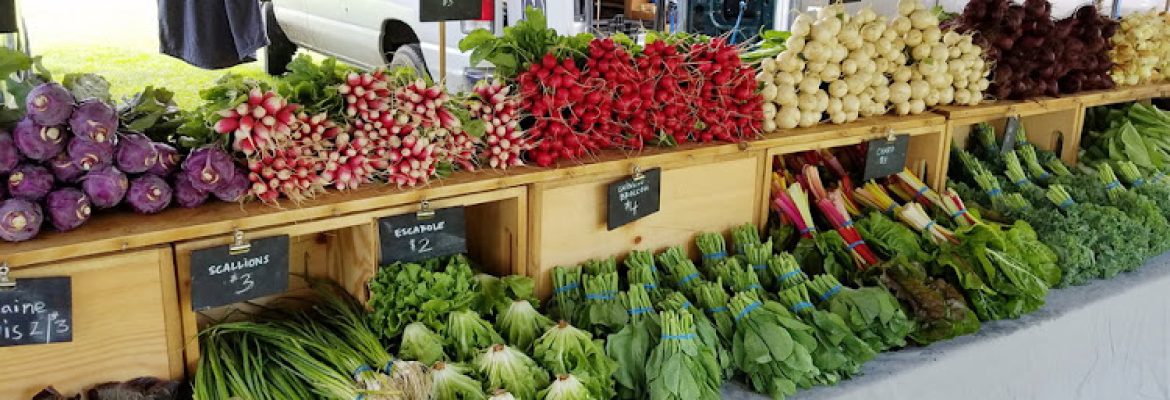 Four Root Farm