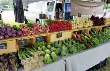 Four Root Farm