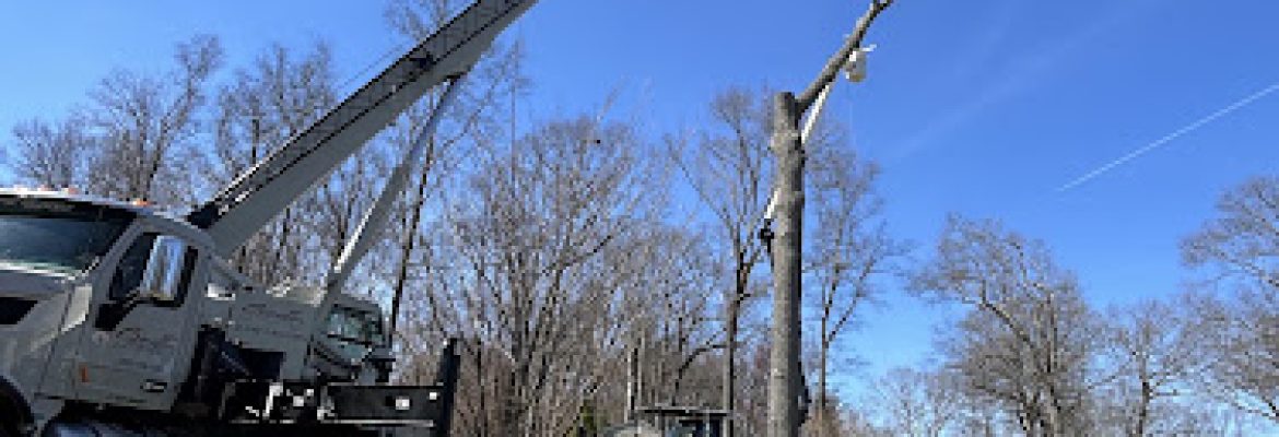 Green and Growing Tree Service
