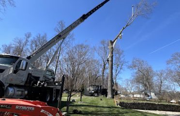 Green and Growing Tree Service