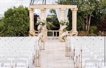 Posh Designs