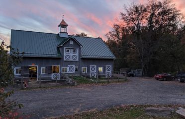 Shaggy Coos Farm & Creamery