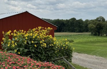 Blackmer Farm