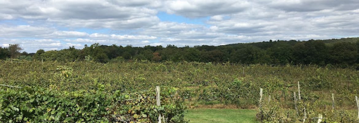 Old Fitchfarm vineyard and small occasion site .
