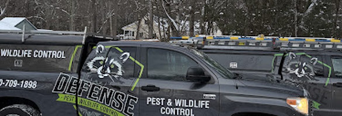 Defense Pest And Wildlife Control LLC