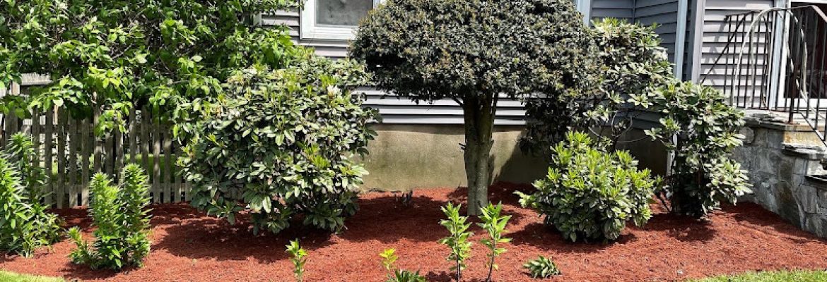 Galt Lawn Care & Landscaping LLC