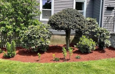 Galt Lawn Care & Landscaping LLC