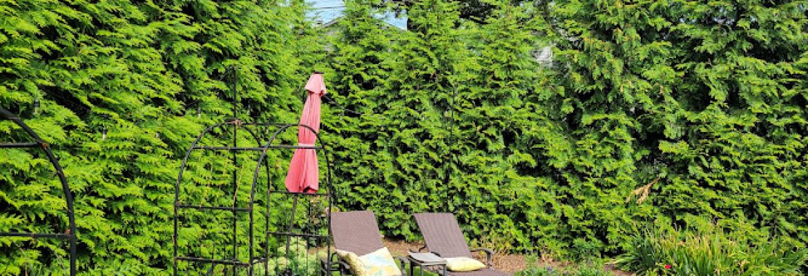 Round Hill Tree Service Inc