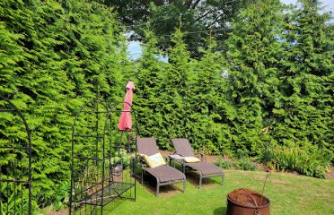 Round Hill Tree Service Inc