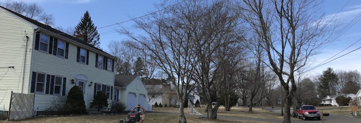 EarlyGreen Care Landscaping LLC
