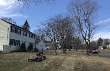 EarlyGreen Care Landscaping LLC