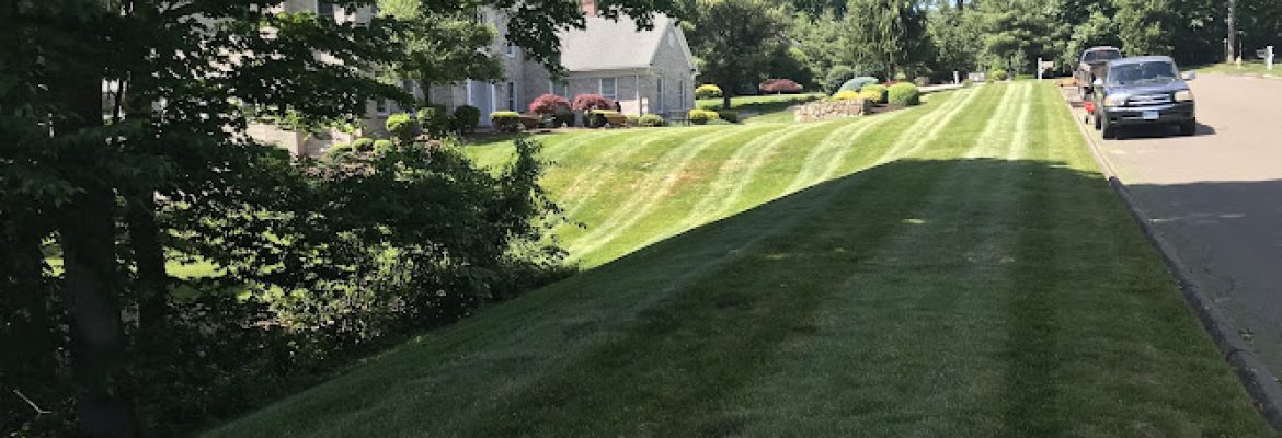 Cesar’s Lawn Maintenance and Masonry