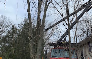 E.C. Tree LLC