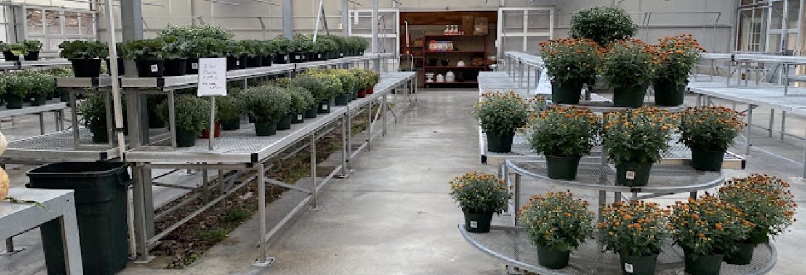 Draghi E & Sons Farm Stand
