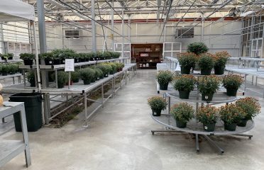 Draghi E & Sons Farm Stand