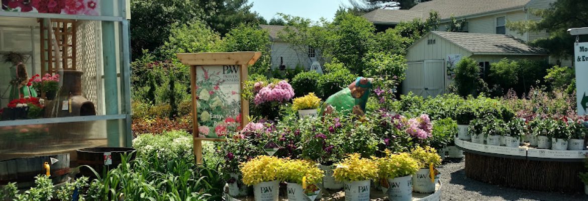 Stonehedge Ldscpg And Garden Center