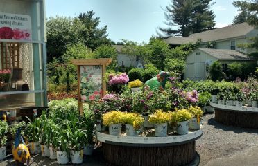 Stonehedge Ldscpg And Garden Center