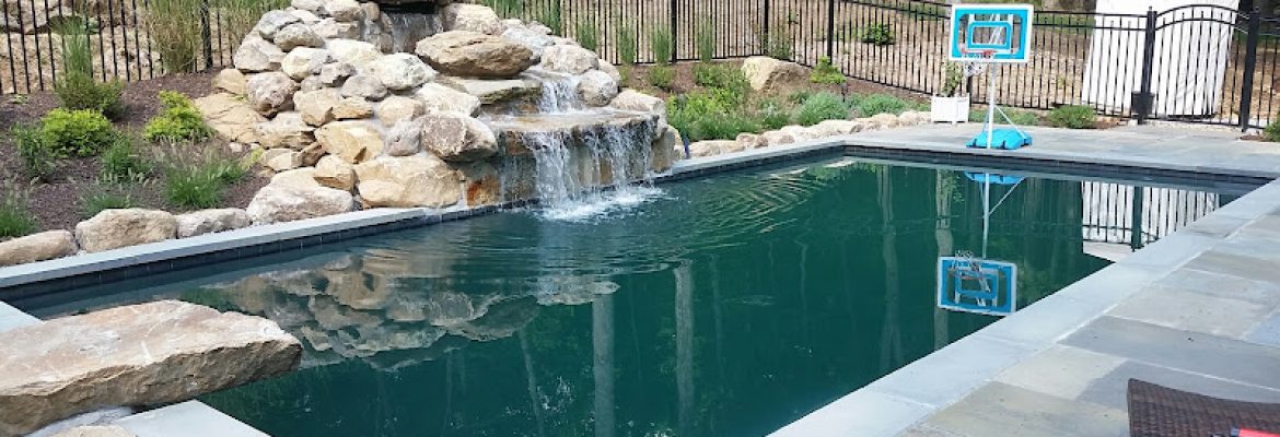 Candide Contractor LLC