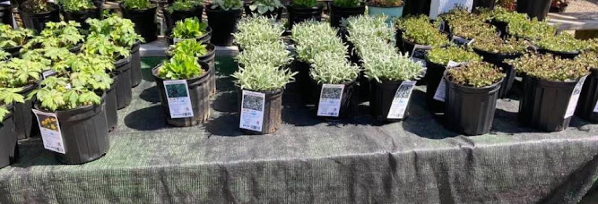 Jordan Brook Lawncare & Gardening, LLC