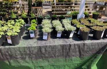 Jordan Brook Lawncare & Gardening, LLC