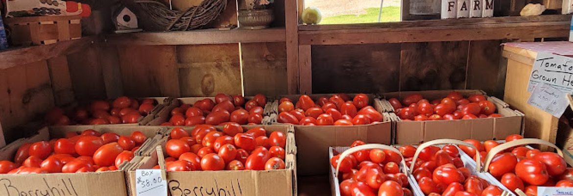 Berryhill Farm Stand