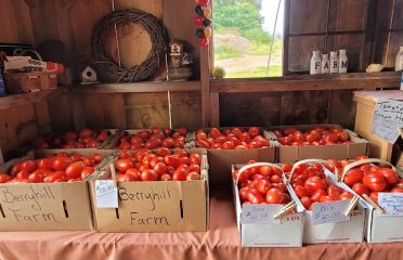 Berryhill Farm Stand
