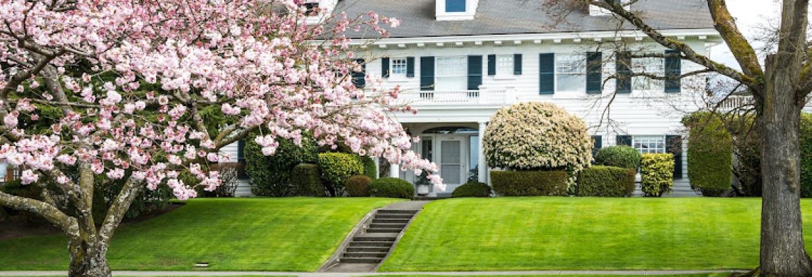 Roots Landscaping – Fence Contractor