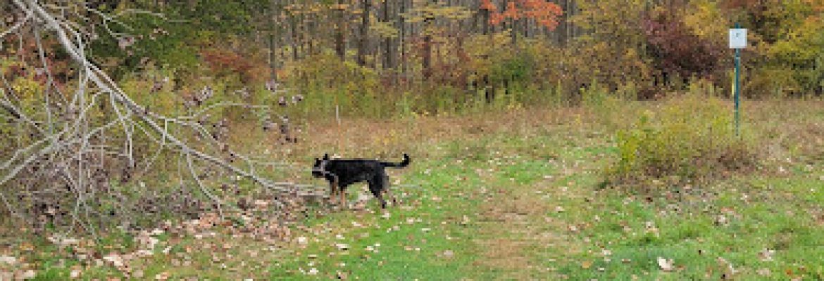 Eriksen Farm Open Space