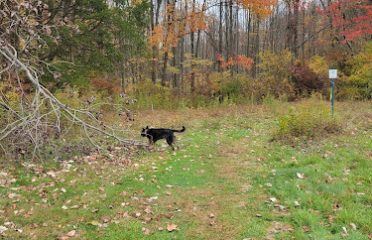 Eriksen Farm Open Space
